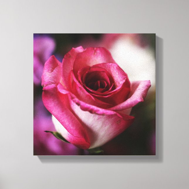 Impressão Em Tela Flor Rosa Floral (Frente)