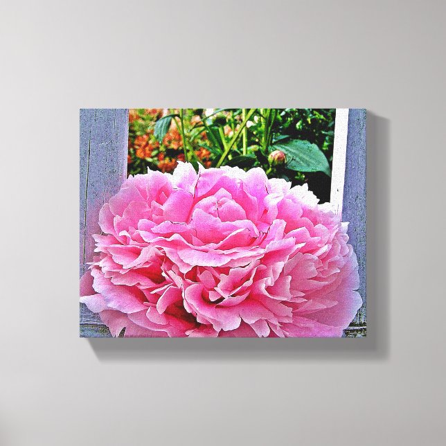 Impressão Em Tela Flor Rosa Rosa-Rosa-Rosa-bonito (Frente)