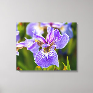 Impressão Em Tela Flor Roxo-Íris