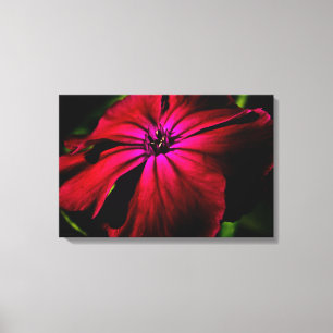 Impressão Em Tela Flor selvagem roxo 24x16 (60x40cm) waccn