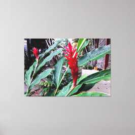 Impressão Em Tela flor vermelha