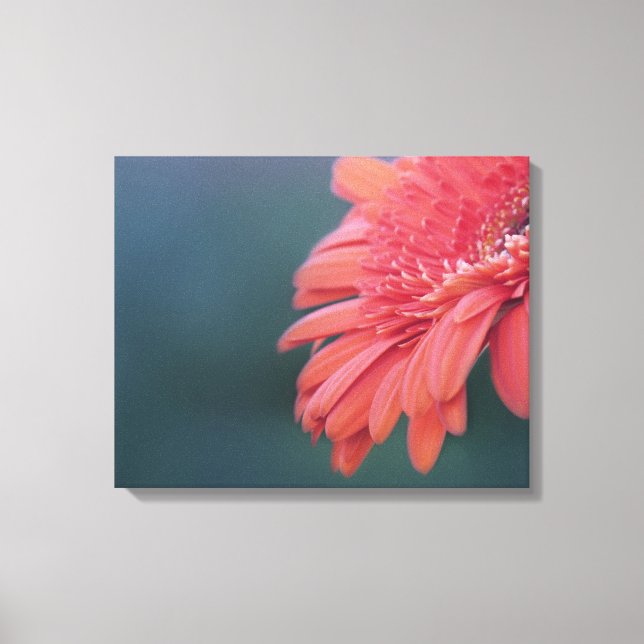 Impressão Em Tela Flor vermelha de Gerbera (Frente)