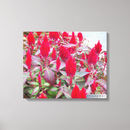 IMPRESSÃO EM TELA FLORA COLORIDA #2