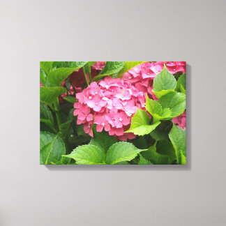 Impressão Em Tela Floração de Hortênsia Rosa Intenso