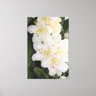 Impressão Em Tela Floral Branco cremoso