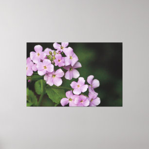 Impressão Em Tela Floral de Mauve Tiny