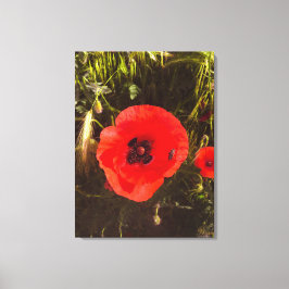 Impressão Em Tela Floral Poppy Dreamer – Botanical Fantasy Art