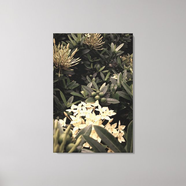 Impressão Em Tela Flores amarelas (Frente)