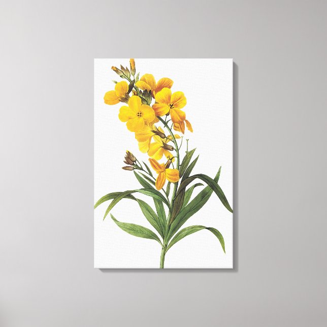Impressão Em Tela Flores amarelas (nome desconhecido) Pierre Joseph  (Frente)