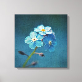 Impressão Em Tela Flores Azuis Esquecem-me-Nots Macrografia