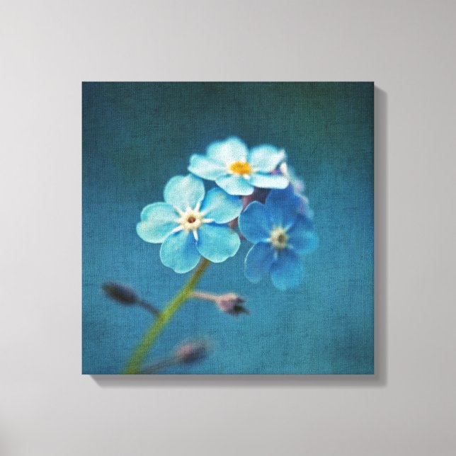 Impressão Em Tela Flores Azuis Esquecem-me-Nots Macrografia (Frente)