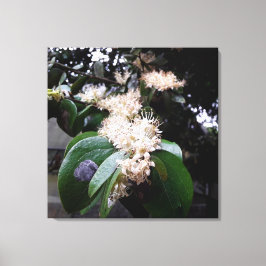 Impressão Em Tela flores brancas1