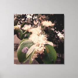 Impressão Em Tela flores brancas3