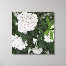 Impressão Em Tela Flores Brancas da bonito Montanha Laurel
