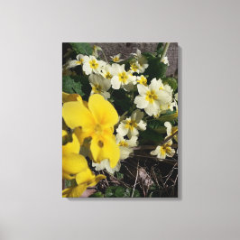 Impressão Em Tela Flores brancas e amarelas do jardim