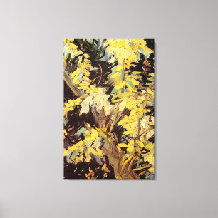 Impressão Em Tela Flores de Acacia Flagres Vincent van Gogh.