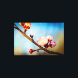 Impressão Em Tela Flores De Apricot Japonesas E Céu Azul Claro<br><div class="desc">Um galho de damasco japonês com algumas flores sakura contra o fundo do céu azul escuro e da folhagem. Uma pintura digital muito grande a partir de uma fotografia. Impressão floral esticada de tela para decorar seu lugar ou para ser usada como presente em casamentos, aniversários, chás de fraldas ou...</div>