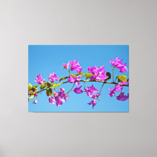 Impressão Em Tela Flores de Bougainvillea