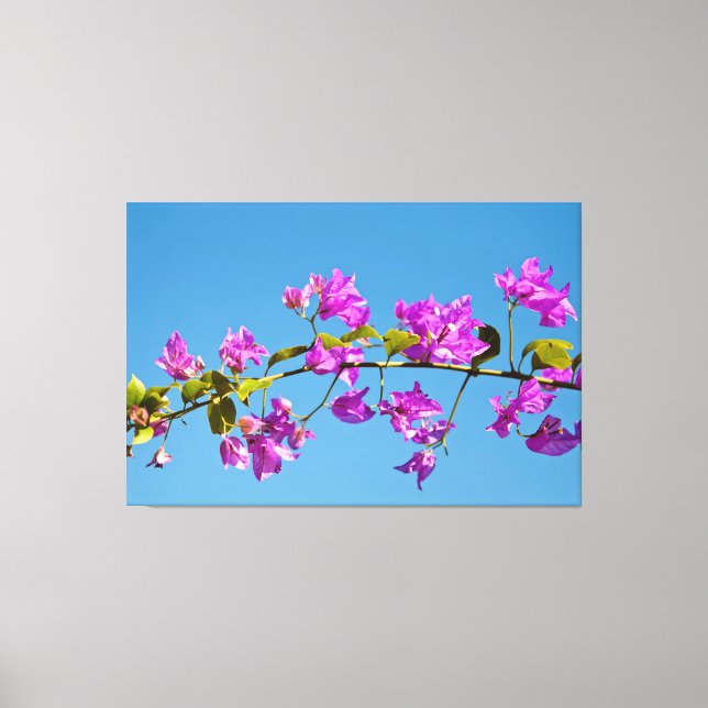 Impressão Em Tela Flores de Bougainvillea (Frente)