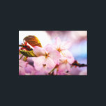 Impressão Em Tela Flores De Cereja De Cor Rosa E Céu Azul<br><div class="desc">Vista de castigo de um monte de flores doces sakura de cor rosa. Folhas de laranja e botão vermelho se redimensionam. O fundo do céu azul, cor rosa suave e roxa das cerejeiras floresce. Uma pintura digital muito grande a partir de uma fotografia. Impressão floral esticada de tela para decorar...</div>