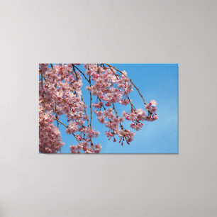 Impressão Em Tela Flores de cerejeira