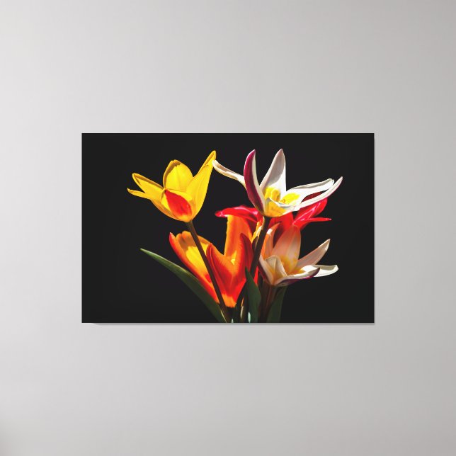 Impressão Em Tela Flores de chicote contra fundo preto (Frente)