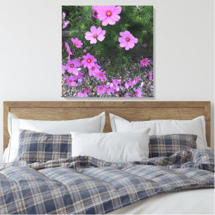 Impressão Em Tela Flores de cosmos com seixos em um