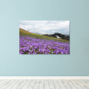 Impressão Em Tela Flores de Crocus em Velika Planina, Eslovênia