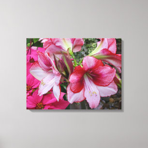 Impressão Em Tela Flores de Férias Vermelhas Amaryllis e Poinsettia
