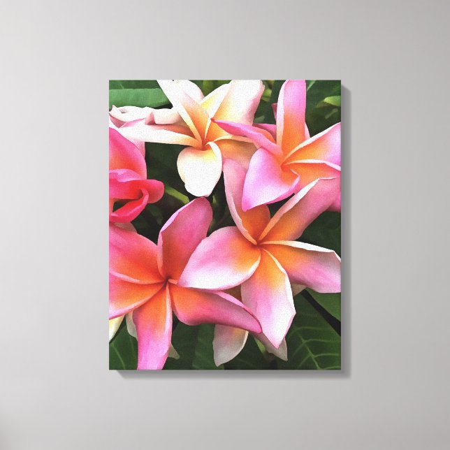 Impressão Em Tela Flores De Frangipani Cor-De-Rosa Pálido (Frente)