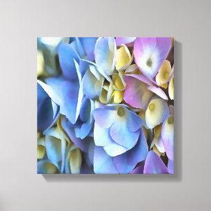 Impressão Em Tela Flores de Hydrangea Azul e Rosa