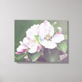 Impressão Em Tela Flores de Macieira na Primavera Arte para Parede e