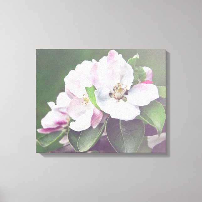 Impressão Em Tela Flores de Macieira na Primavera Arte para Parede e (Frente)