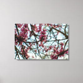Impressão Em Tela Flores de primavera em uma árvore