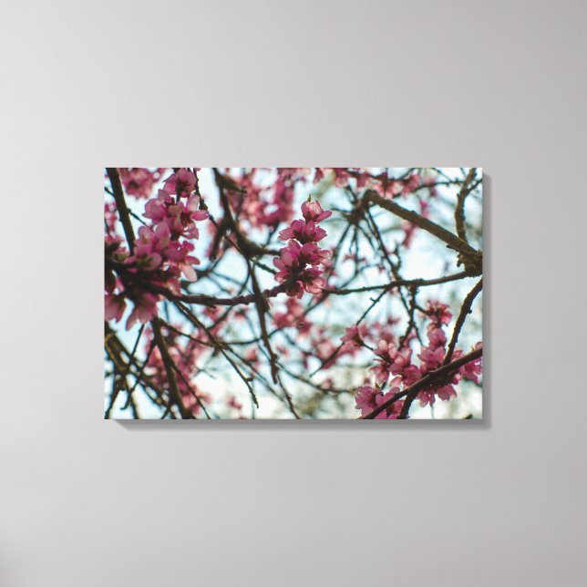 Impressão Em Tela Flores de primavera em uma árvore (Frente)