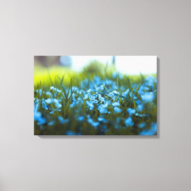 Impressão Em Tela Flores de primavera no campo (Frente)