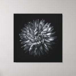 Impressão Em Tela Flores De Quintal A Preto E Branco 20