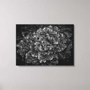 Impressão Em Tela Flores De Quintal A Preto E Branco No 42