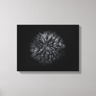 Impressão Em Tela Flores De Quintal A Preto E Branco No 68