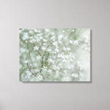 Flores de Respiro de Bebê Fotografia da Natureza A