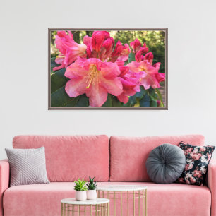Impressão Em Tela Flores de Rhododendron Rosa
