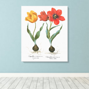 Impressão Em Tela Flores de Tulipa da Primavera Vintage por Basilius
