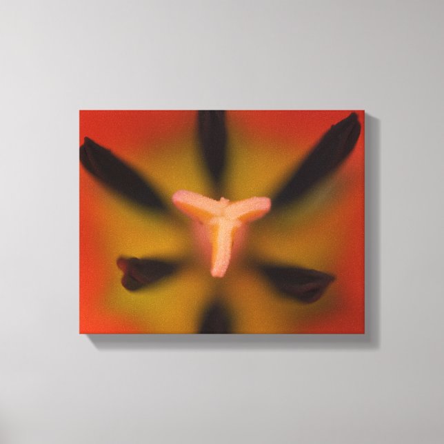 Impressão Em Tela Flores de Tulipas Vermelhas Fecham (Frente)