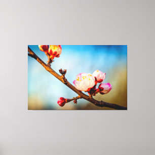 Impressão Em Tela Flores de Ume e o Céu Azul Limpo