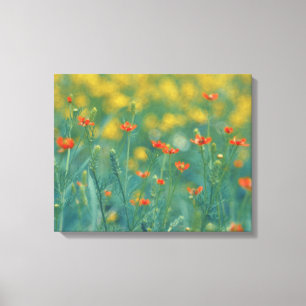 Impressão Em Tela Flores De Verão (Campo Floral) (Flores Vermelhas)