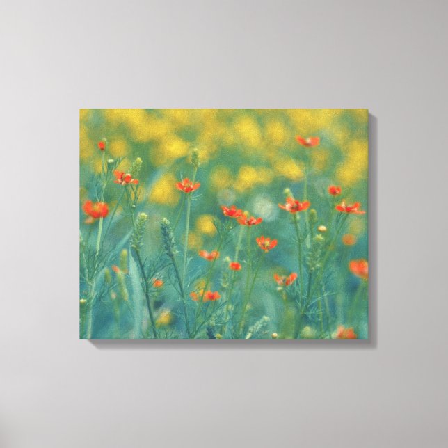 Impressão Em Tela Flores De Verão (Campo Floral) (Flores Vermelhas) (Frente)