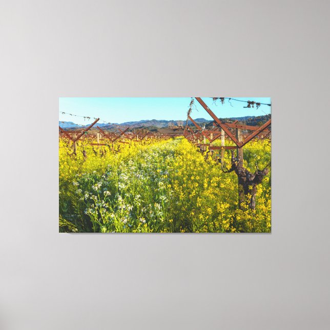 Impressão Em Tela Flores de vinha e de mostarda (Frente)