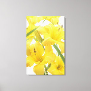 Impressão Em Tela Flores do hemerocallis e flores em botão