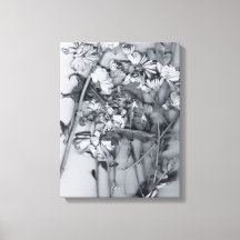 Flores em Preto e Branco