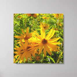 Impressão Em Tela Flores en mi hierbas " flores em minhas ervas dani